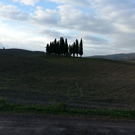 Passaggio In Val D' Orcia Lägenhet Torrenieri Exteriör bild